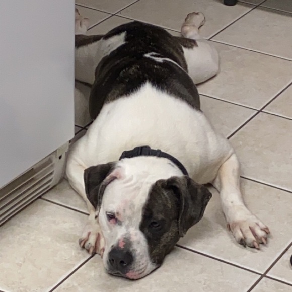 Meet your Posher, Brittney - Picture 12 of 16